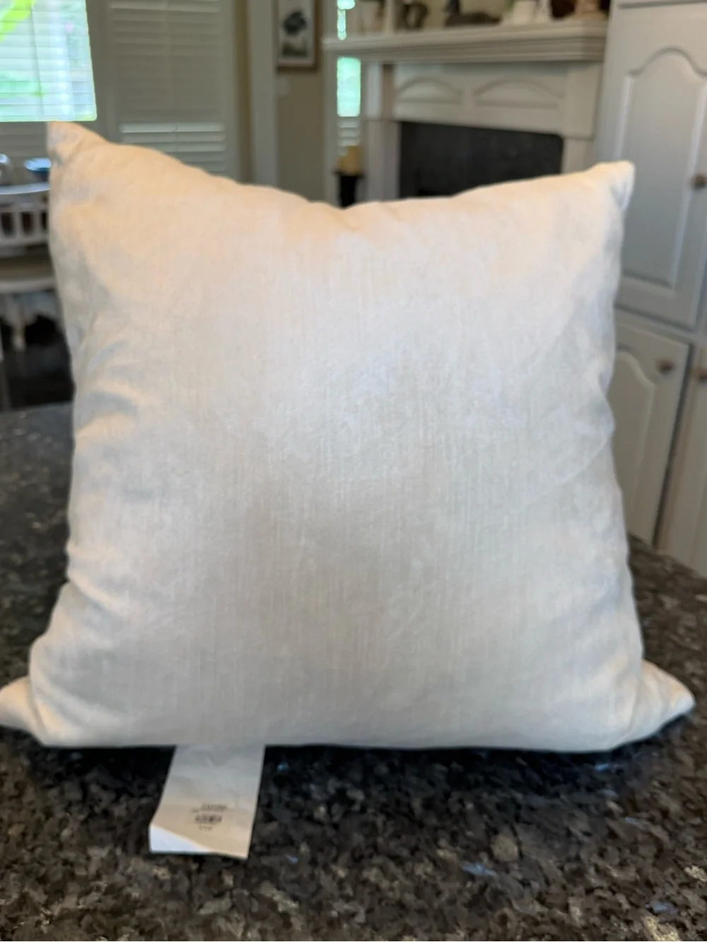 Z Gallerie silver and cream beaded damask accent pillow 22x22”